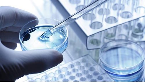 龍池牡丹 緊抓二產(chǎn)，深挖科研，以技術(shù)服務(wù)驅(qū)動(dòng)牡丹精品駛?cè)胧袌鏊{(lán)海